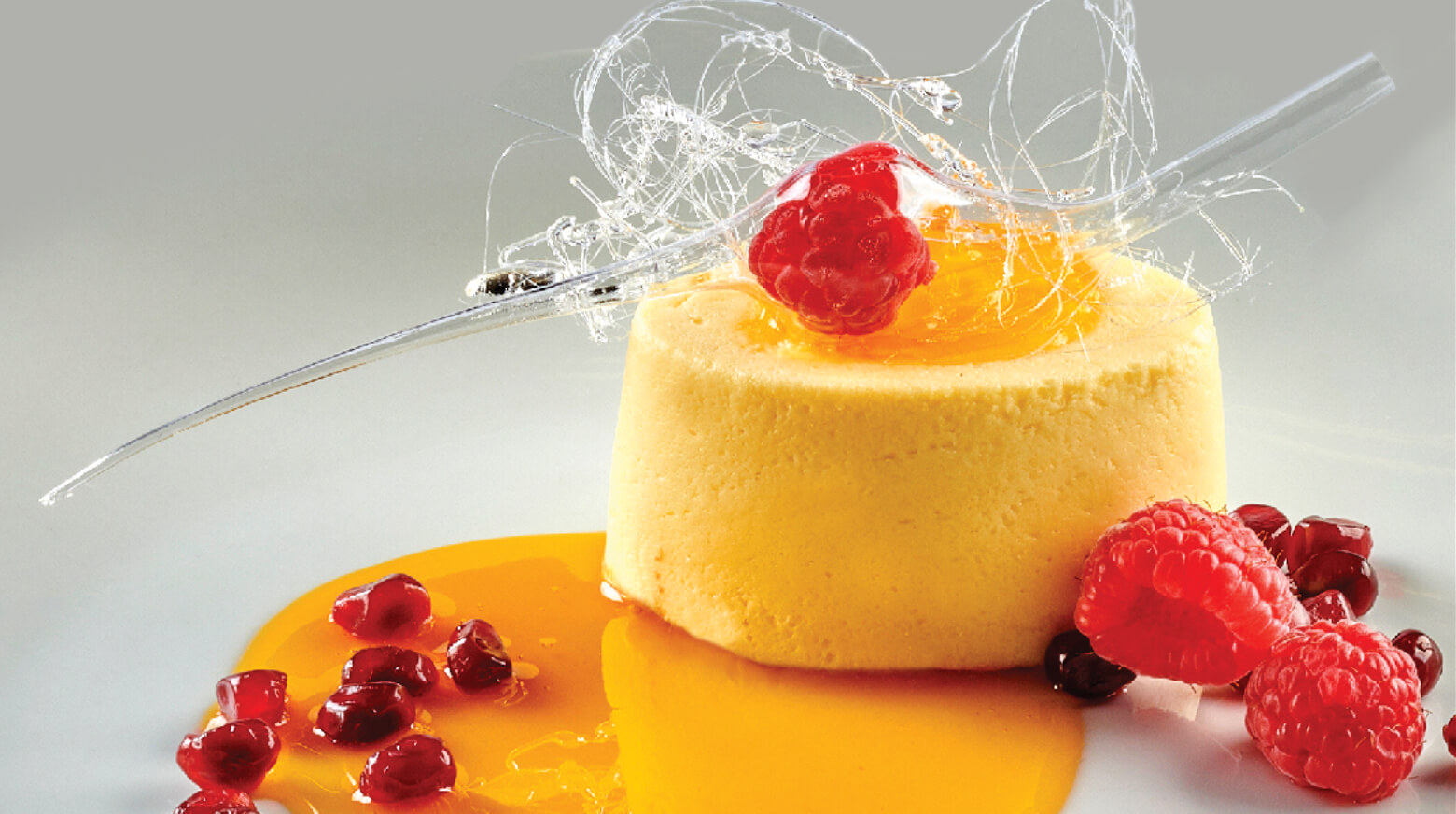Mango Fridge Cake Rich Products Corporation Africa